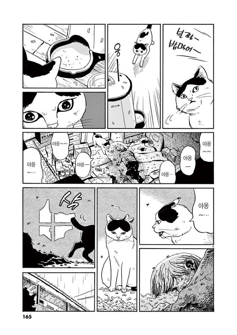 집고양이 분짱의 일년.manga_9.jpg