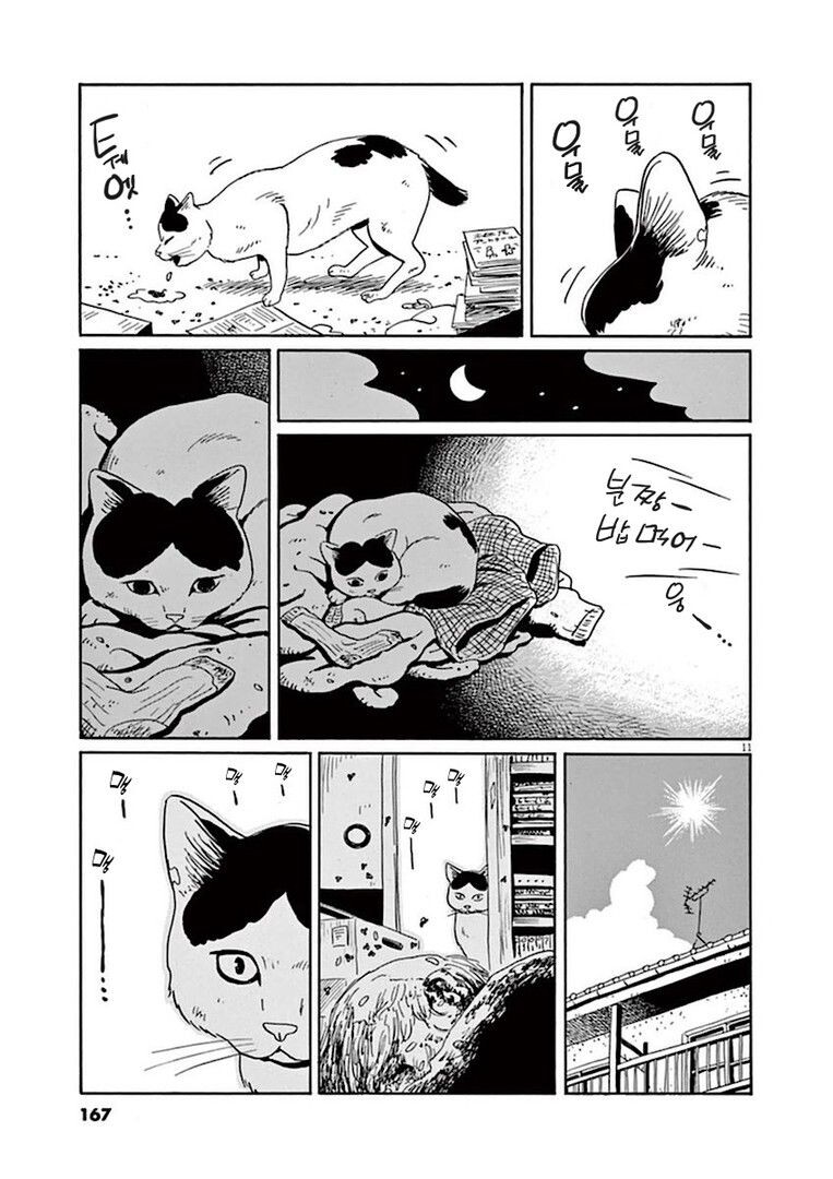 집고양이 분짱의 일년.manga_11.jpg
