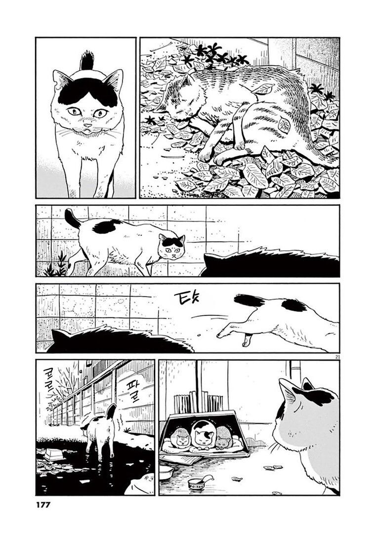 집고양이 분짱의 일년.manga_21.jpg