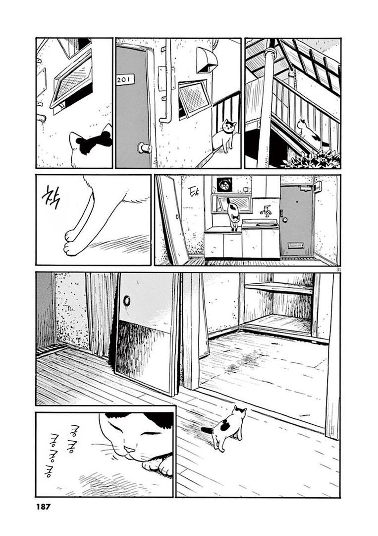 집고양이 분짱의 일년.manga_31.jpg