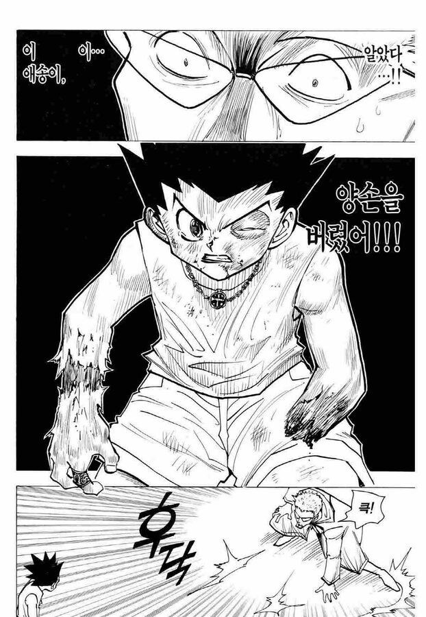 헌터X헌터] 원래라면 절대 이길수 없었던 싸움_7.jpg