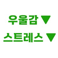 원피스) 소신발언 : 야솝 같은 캐릭터는 꼭 있어야 함_2.png