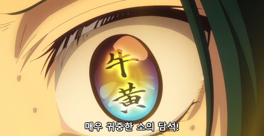 약사의혼잣말) 우황 받고 정신못차리는 마오마오_16.jpg