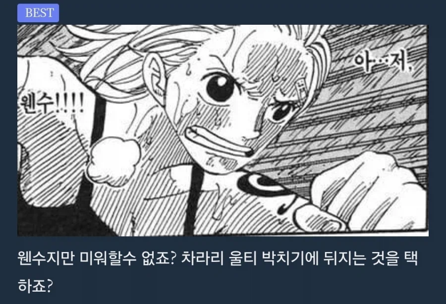 원피스) 루피가 나미한테 어떤 존재인지 완벽하게 요약하기_6.webp