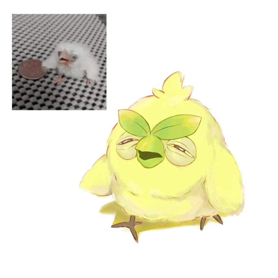 포켓몬 잠에서 막 깬 초로삐_1.webp