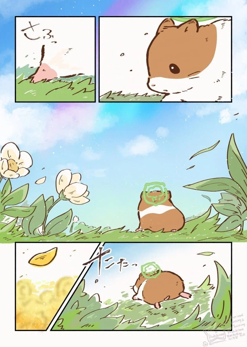 무지개다리를 건넌 햄스터 이야기.manhwa_4.webp