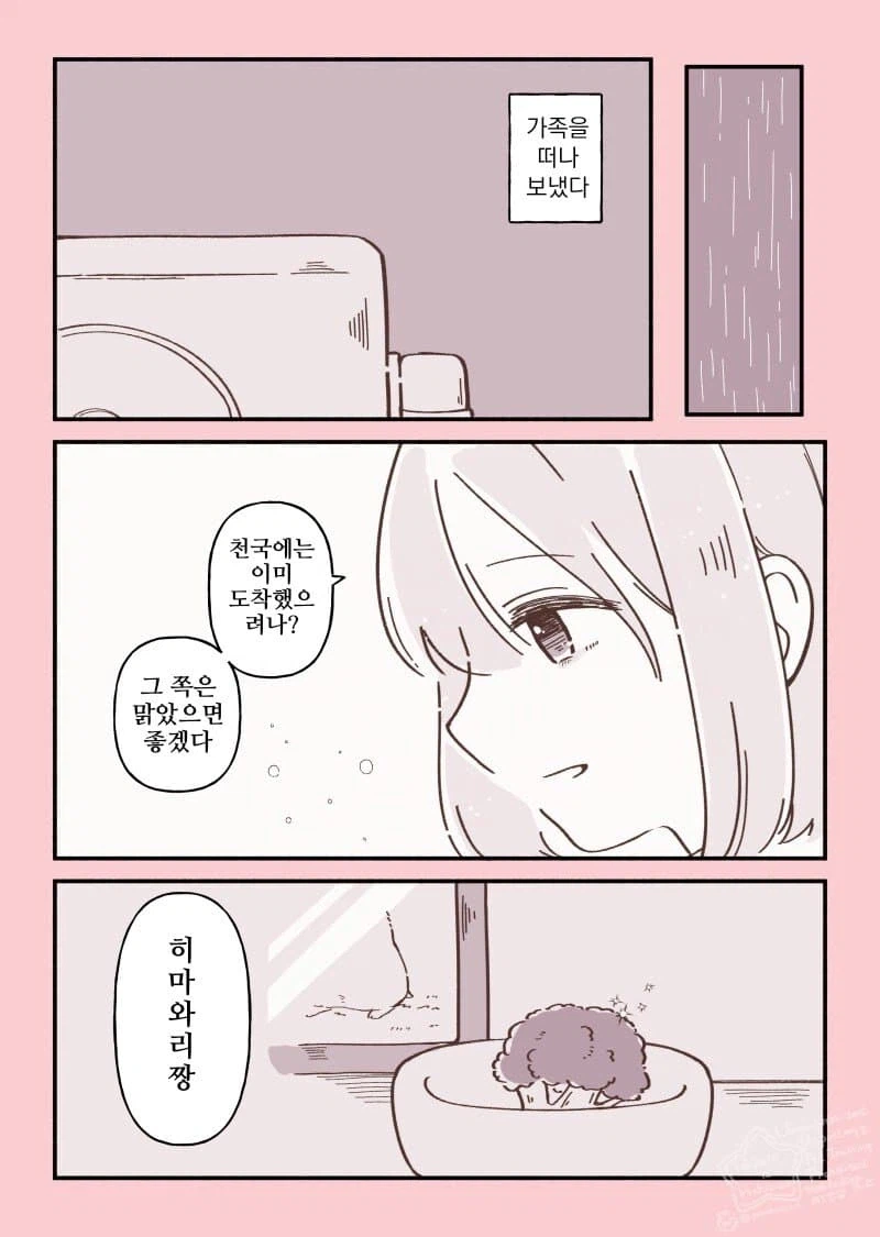 무지개다리를 건넌 햄스터 이야기.manhwa_7.webp