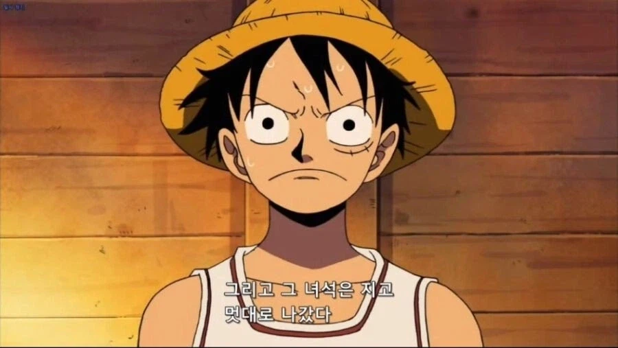 원피스) 조로도 가만 보면 책 좀 읽은 티가 나더라_3.webp