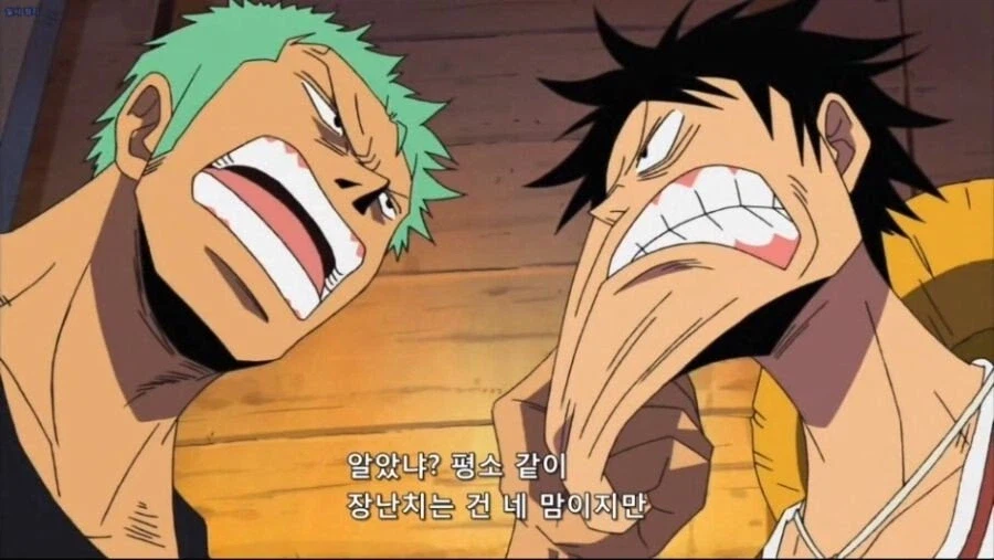 원피스) 조로도 가만 보면 책 좀 읽은 티가 나더라_7.webp