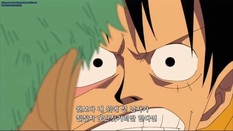 원피스) 조로도 가만 보면 책 좀 읽은 티가 나더라_8.webp