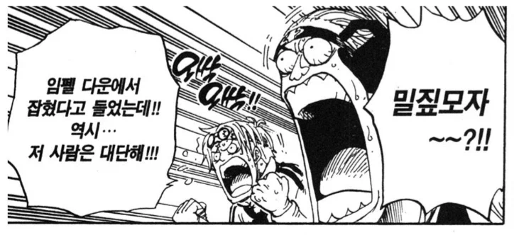 원피스) 일반인 시점 정상결전 영상의 진실_9.webp