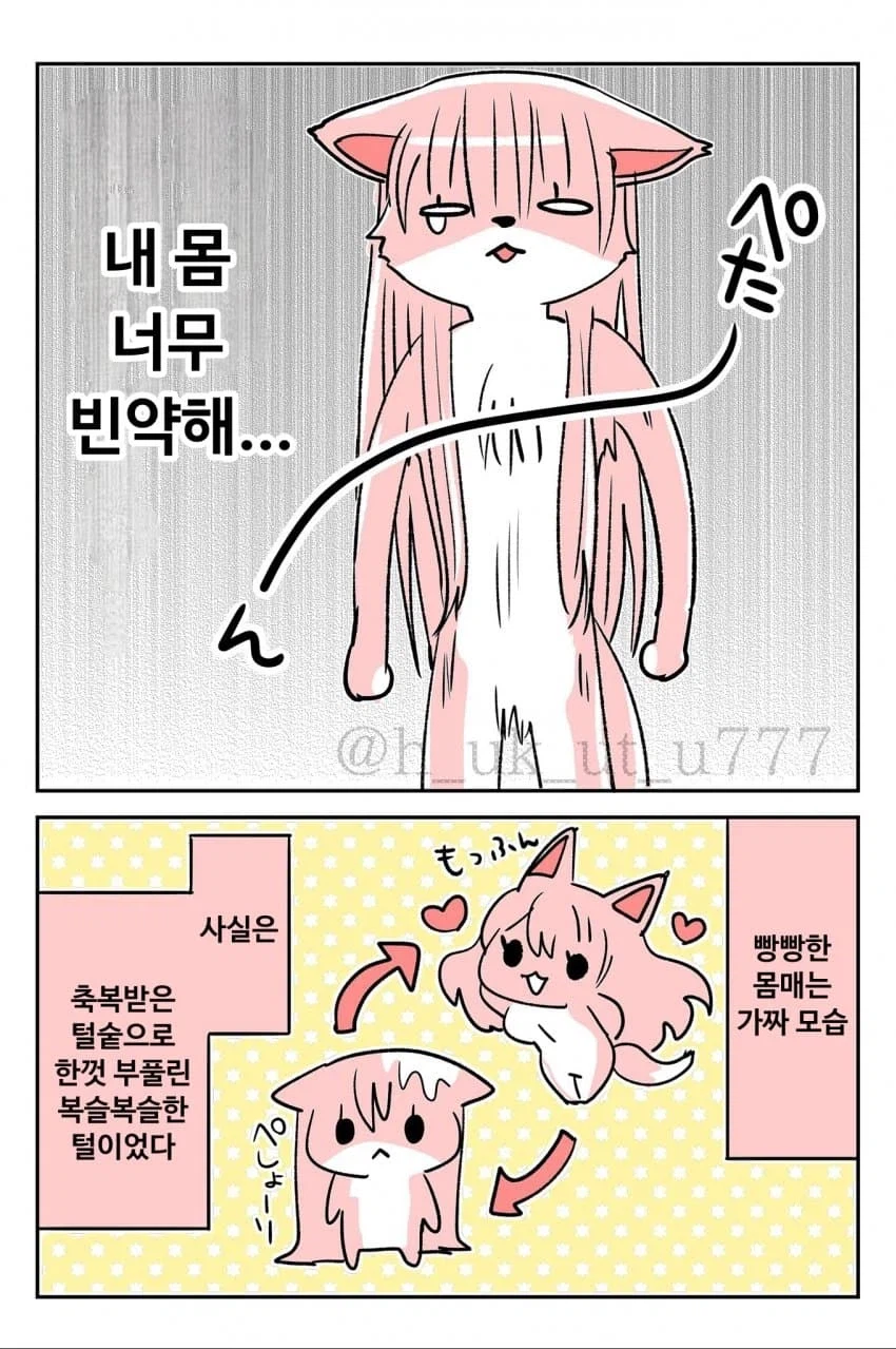 빵빵한 털꿉친구 .manhwa_4.webp