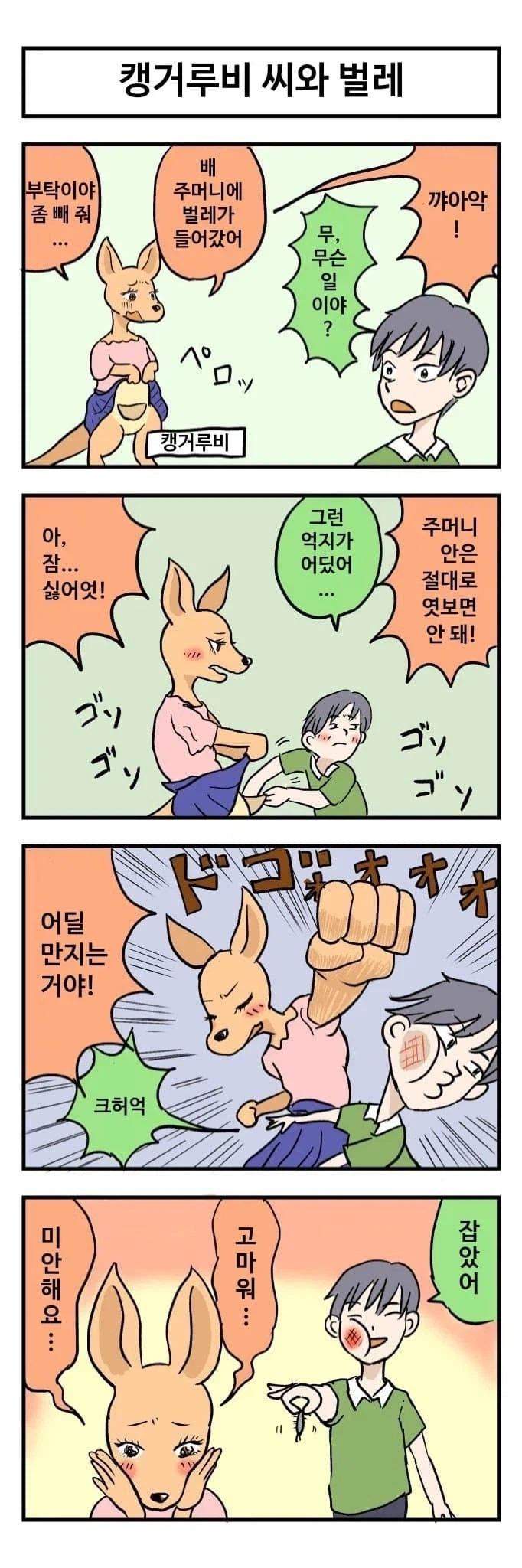 캥거루랑 결혼하는 만화_2.webp