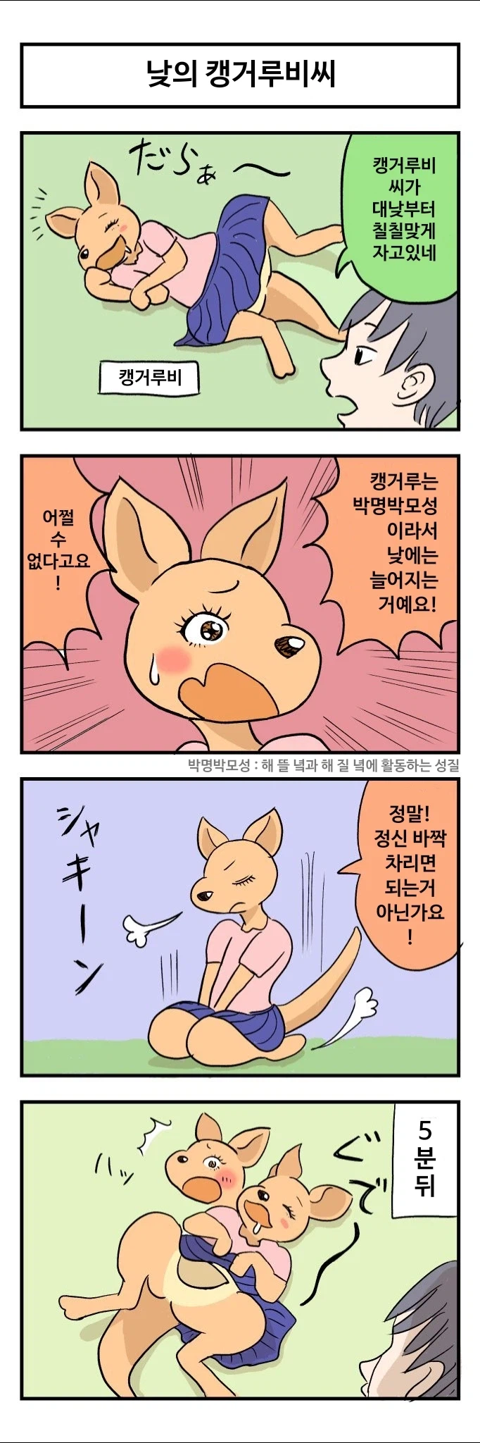 캥거루랑 결혼하는 만화_4.webp
