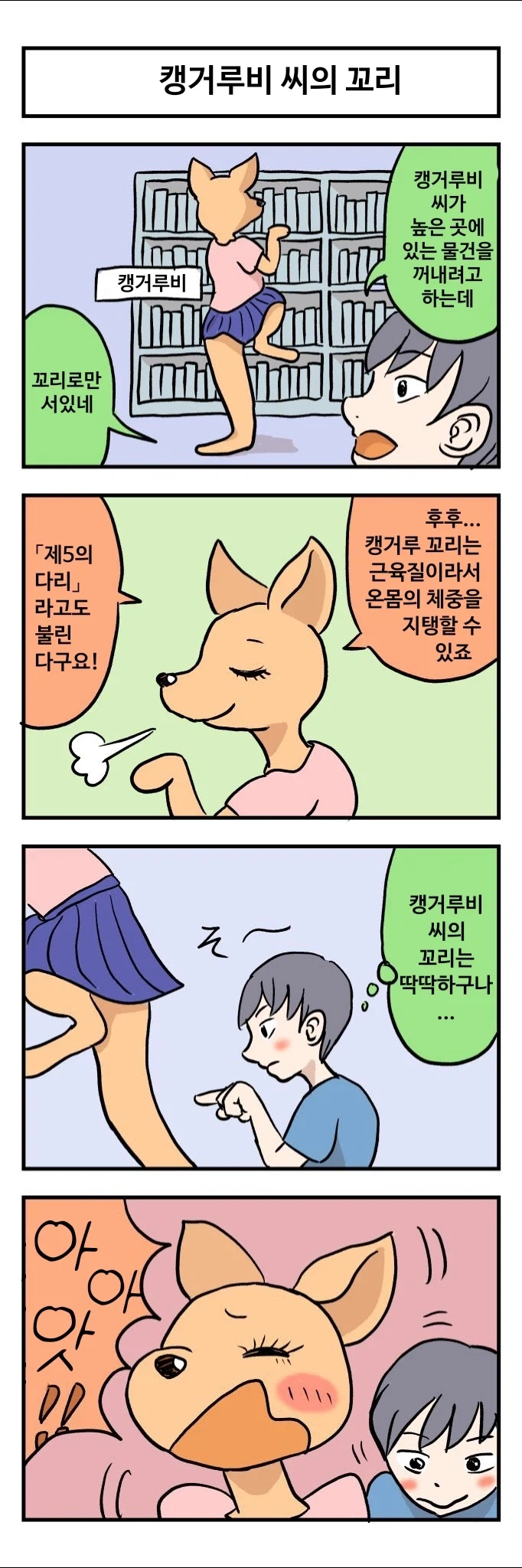 캥거루랑 결혼하는 만화_5.webp