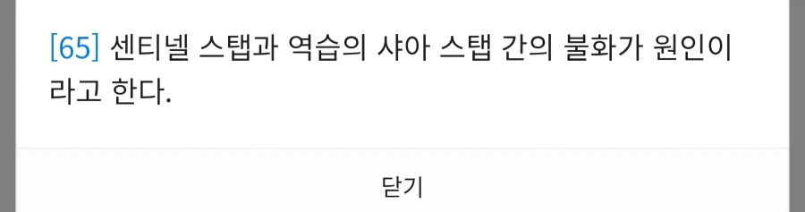 환상의 제타플러스 R형_3.webp