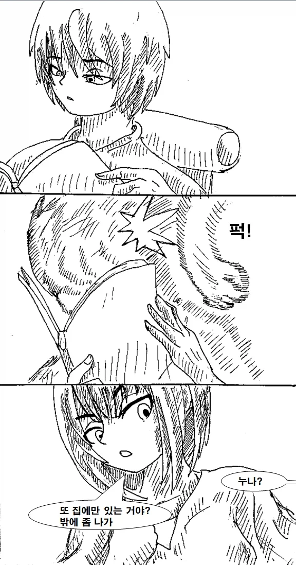 누나가 기억을 잃은 만화_1.webp