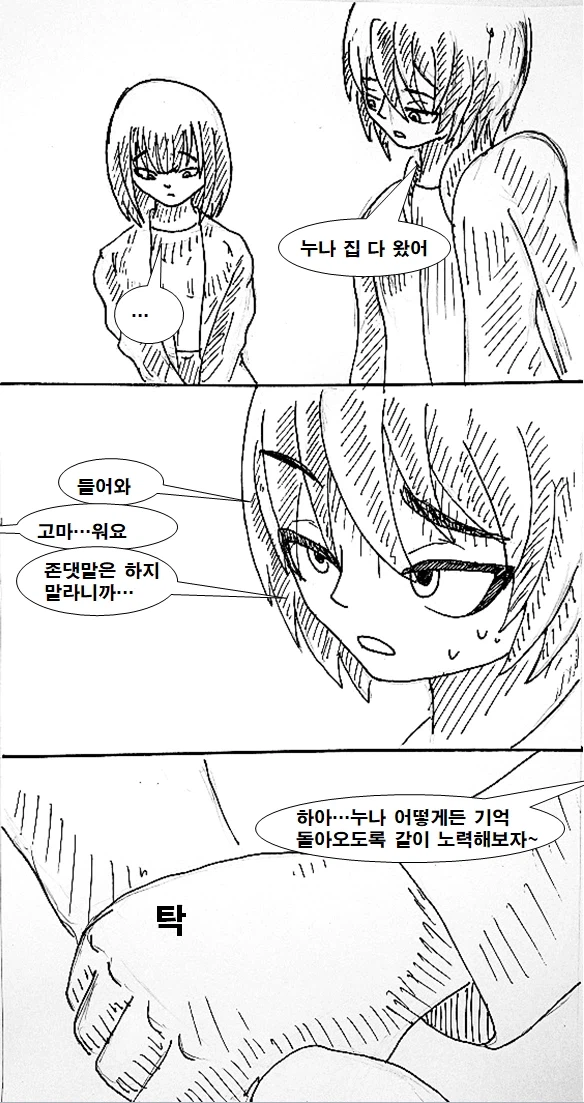 누나가 기억을 잃은 만화_8.webp