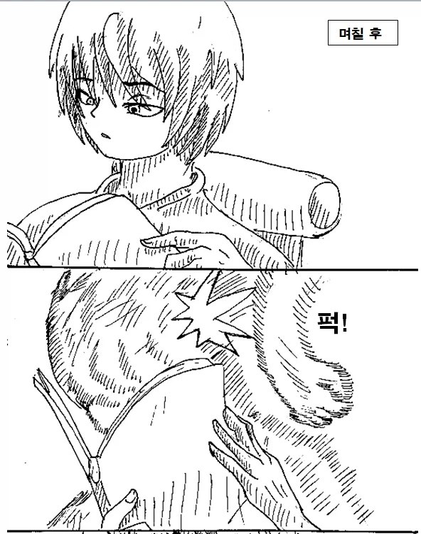 누나가 기억을 잃은 만화_13.webp