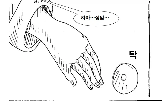 누나가 기억을 잃은 만화_15.webp