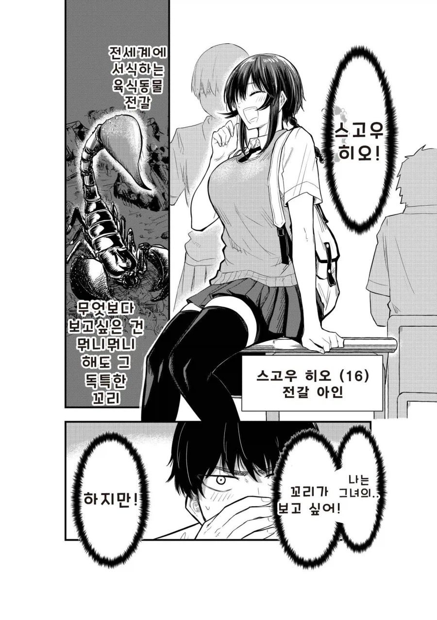 성벽 망가진 학생이 고백하는 만화_4.webp