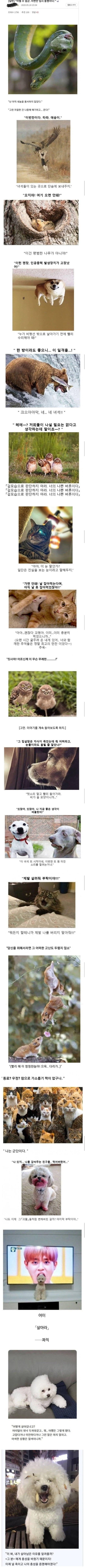 소년만화 클리셰 모음_1.webp