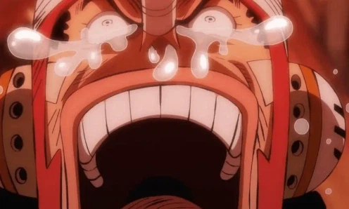 원피스) 우솝:와! 아부지! 만나고 싶었어!!_9.webp