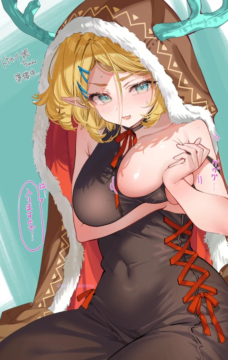 옷이 안 맞아서 고생하시는 젤다공주님_1.webp