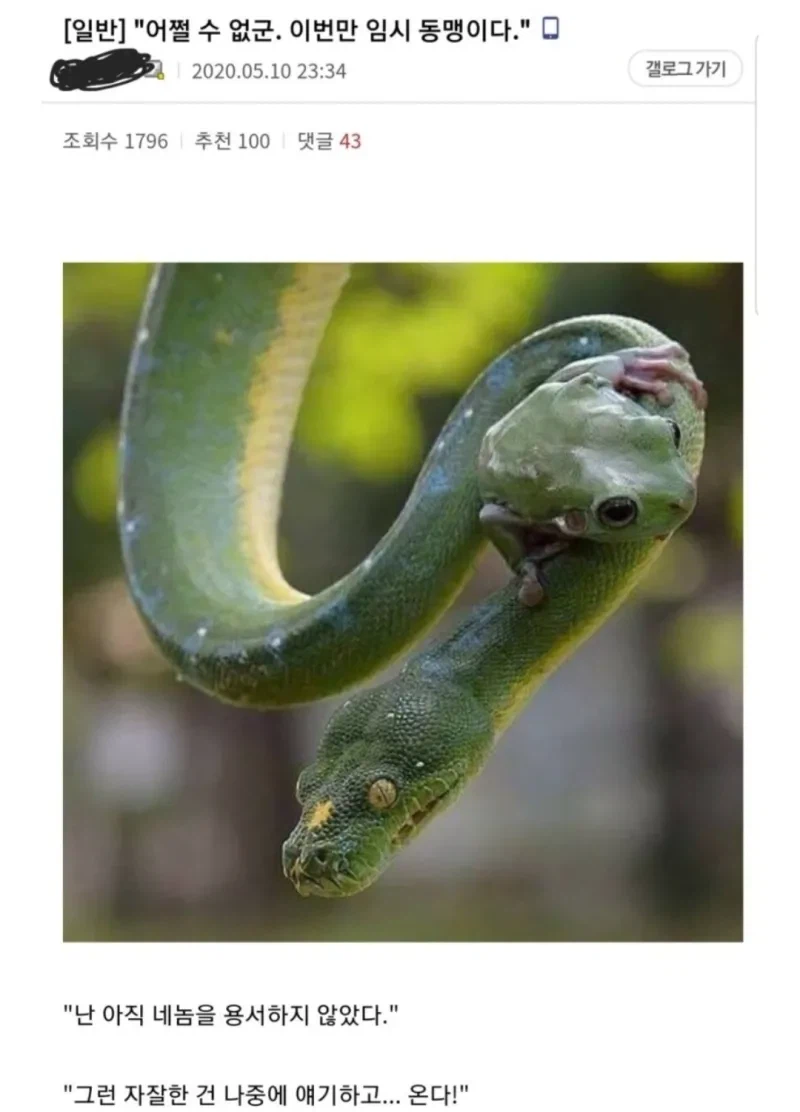 소년만화 클리셰 모음._1.webp