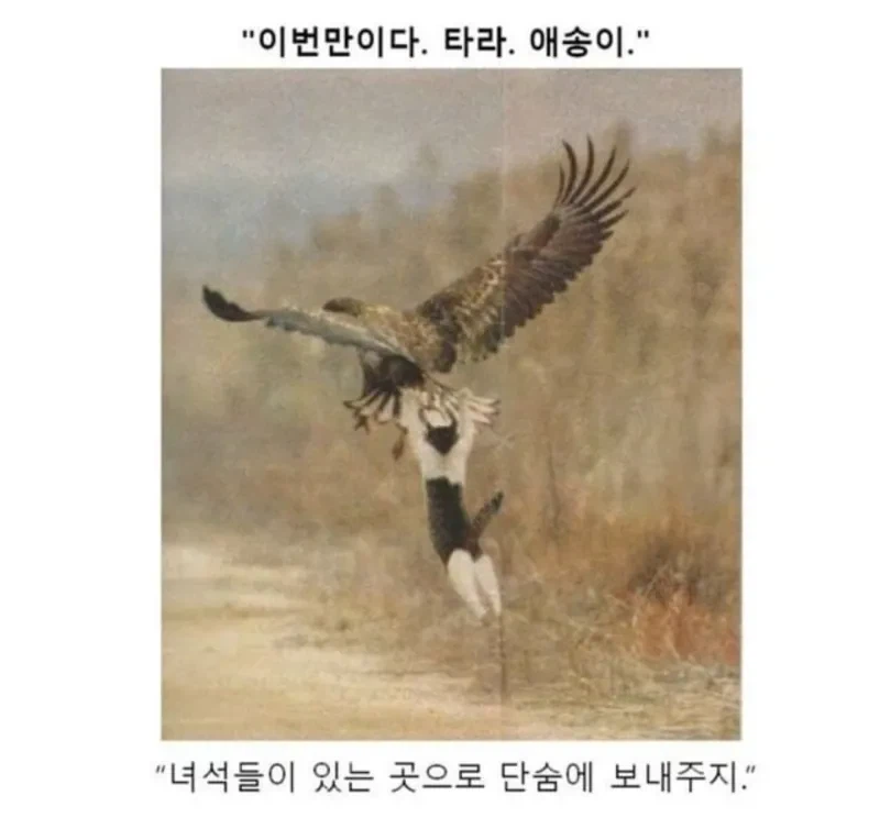 소년만화 클리셰 모음._2.webp