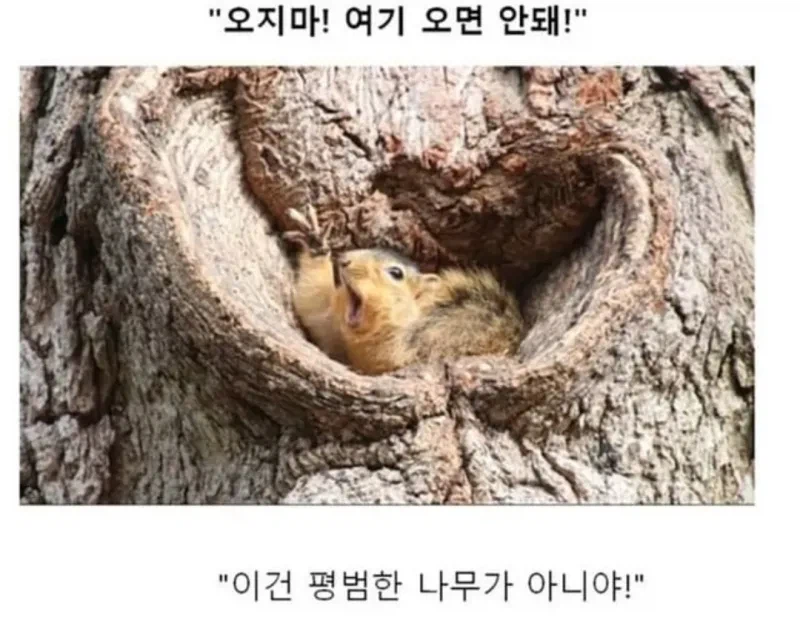 소년만화 클리셰 모음._3.webp