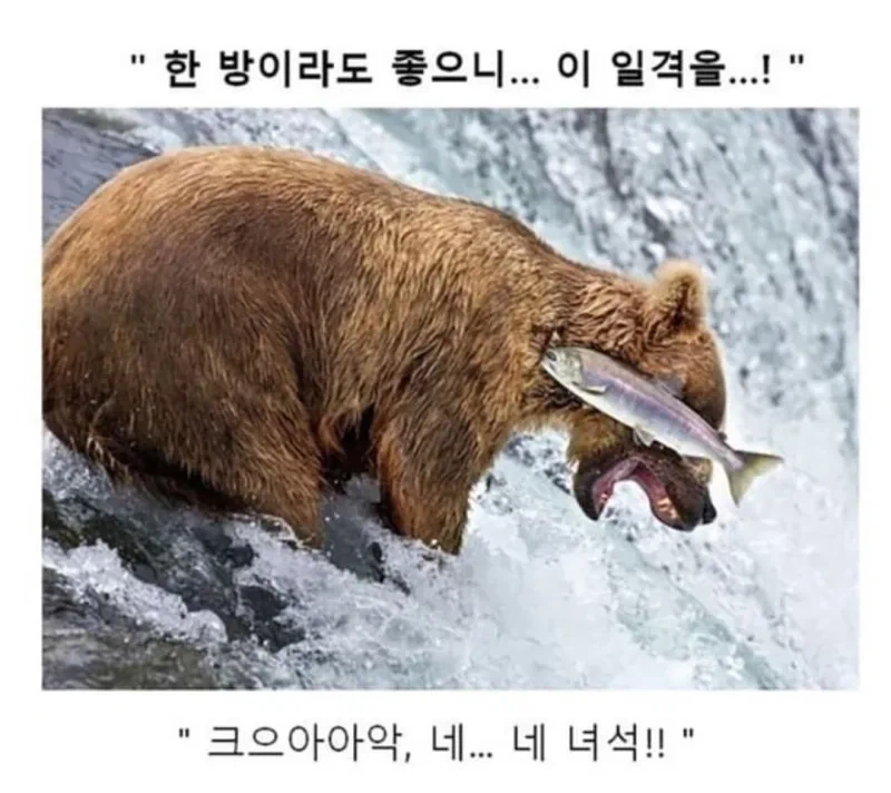 소년만화 클리셰 모음._5.webp