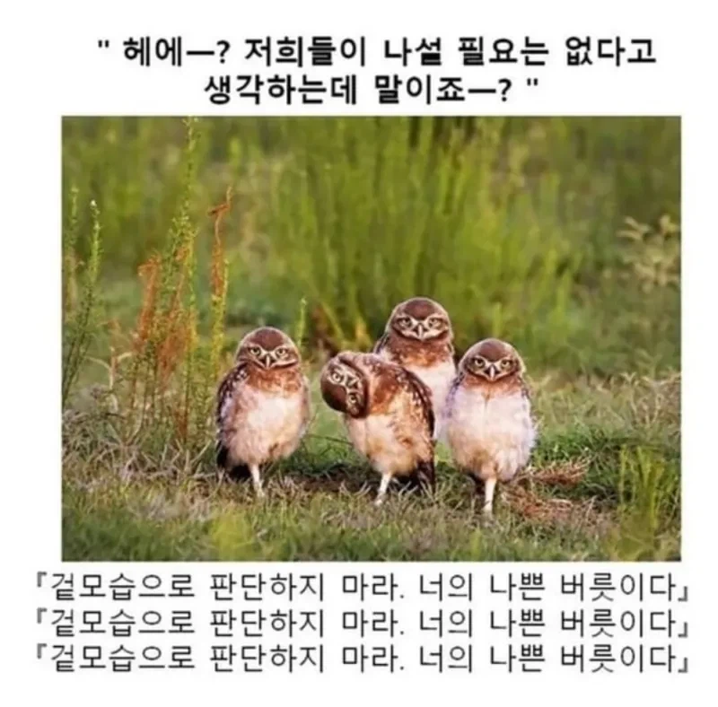 소년만화 클리셰 모음._6.webp