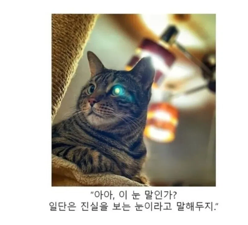 소년만화 클리셰 모음._7.webp