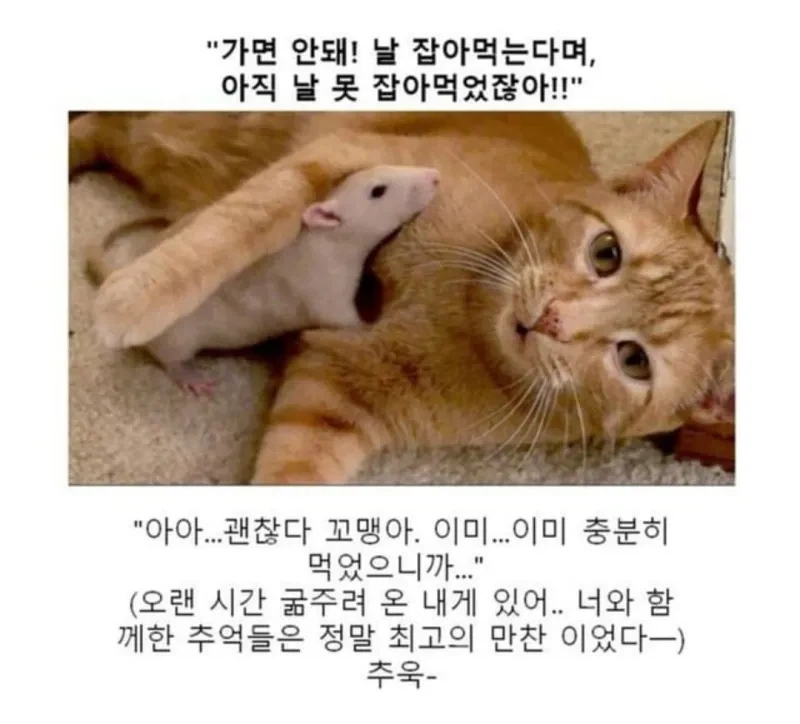 소년만화 클리셰 모음._8.webp