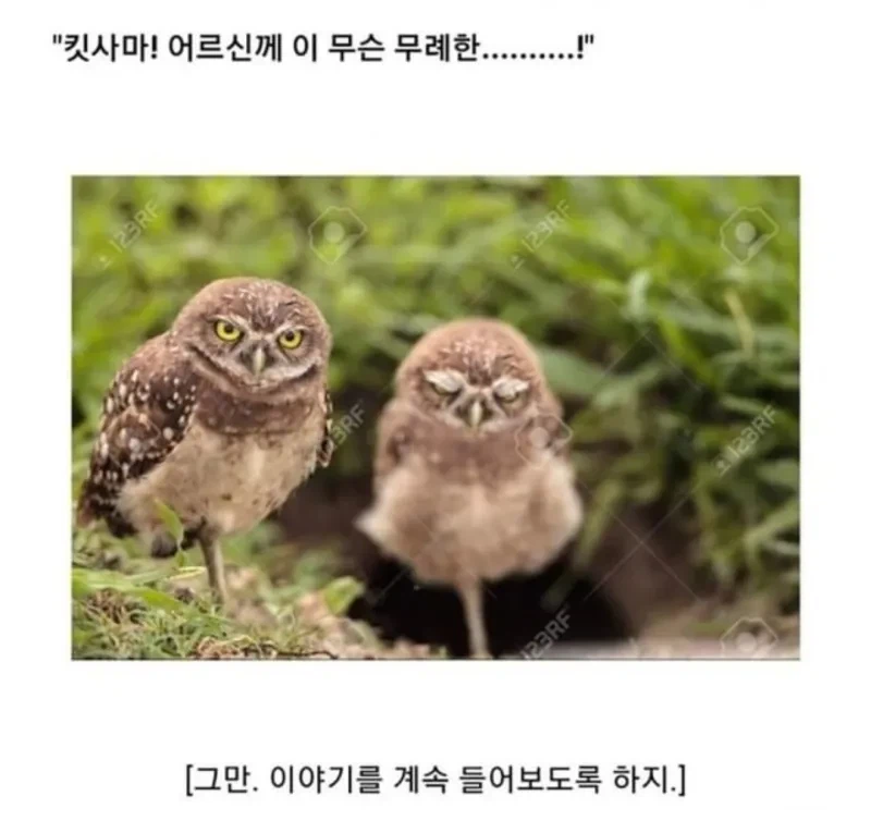 소년만화 클리셰 모음._9.webp