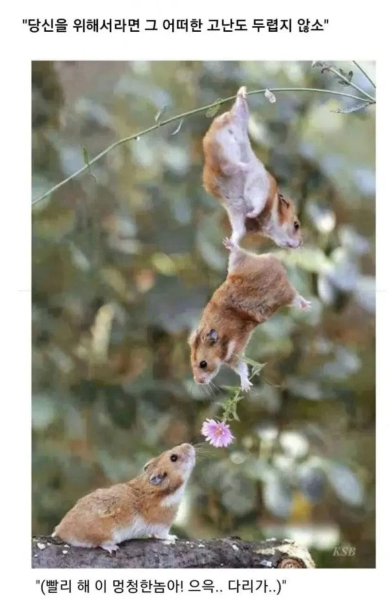 소년만화 클리셰 모음._13.webp