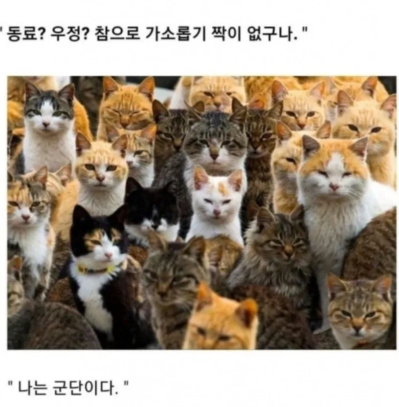 소년만화 클리셰 모음._14.webp