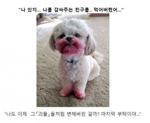 소년만화 클리셰 모음._15.webp