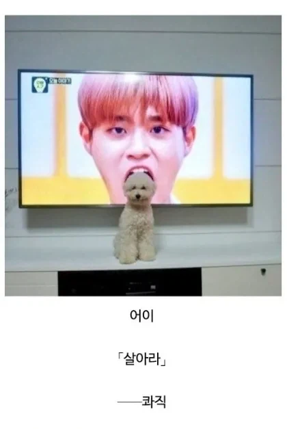 소년만화 클리셰 모음._16.webp