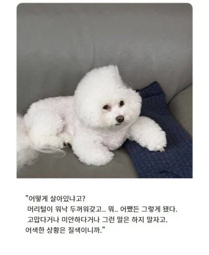 소년만화 클리셰 모음._17.webp