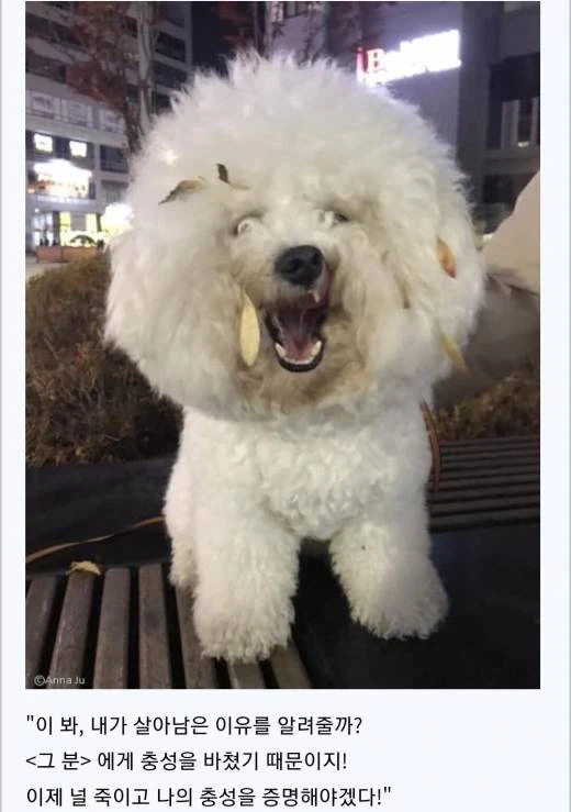 소년만화 클리셰 모음._18.webp