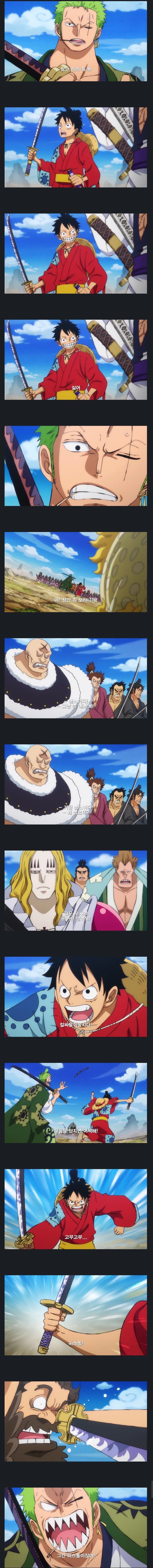 원피스) 조로 옆에 끼고 싸울때 루피 특징_1.webp