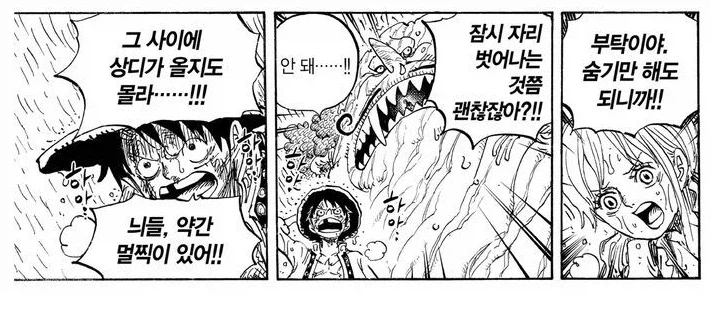 원피스) 조로 옆에 끼고 싸울때 루피 특징_2.webp