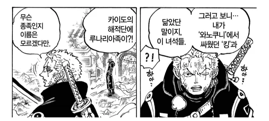 원피스) 조로가 빡대갈인 점_2.webp