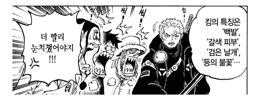 원피스) 조로가 빡대갈인 점_3.webp