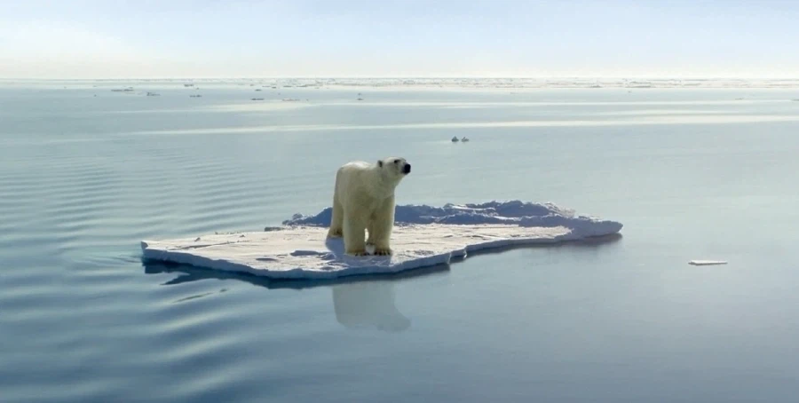 소꿉친구들과 왕게임 하는 여자아이 만화_9.webp