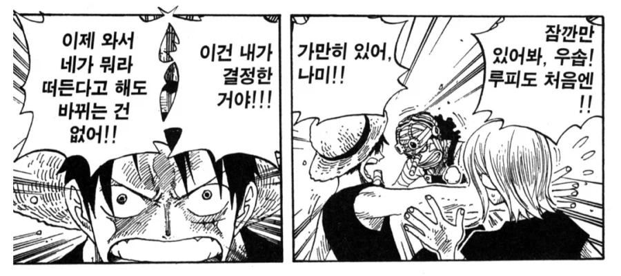 원피스) 메리호 갈등은 이 부분도 재밌음_6.webp