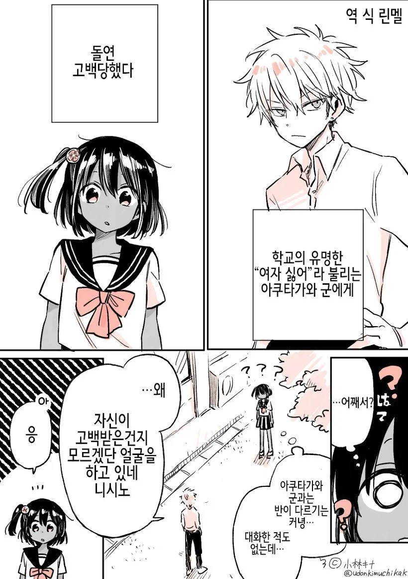 여자를 싫어하는 남학생에게 고백받는 만화_1.webp