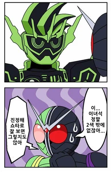 가면라이더) 나야말로 진정한 가면라이더